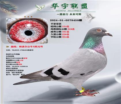 ֲţ̖(ho)XWԪ̖(ho) (qing)Ѫ