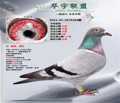 w {ֱX(ju)W̖(ho)ֱŮ (qing)Ѫ