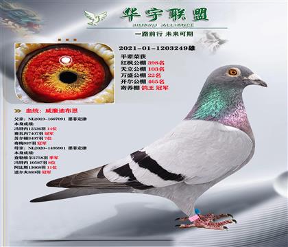 tѪϵ īƶֱOXīƶֱOŮ
