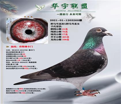 r(sh)ӡnC(j) ˹T(mn) ҰRֱOXҰRֱŮ (qing)Ѫ