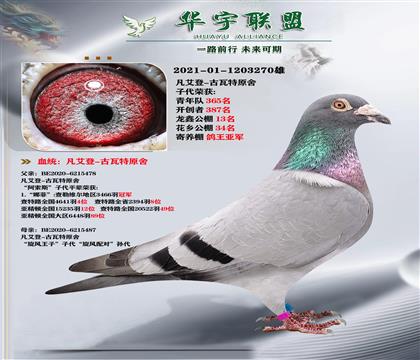 Ѫϵ ǹ L(fng)䌦(du) (qing)Ѫ