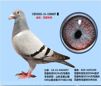 范登布克992X四萬(wàn)號(hào)