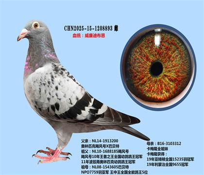 威廉迪布恩颶風(fēng)號(hào)X卡梅隆