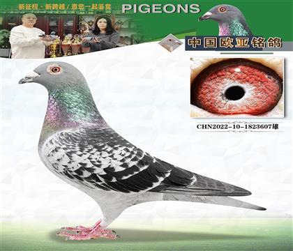 pδ̖(ho)fرȭh(hun)520158