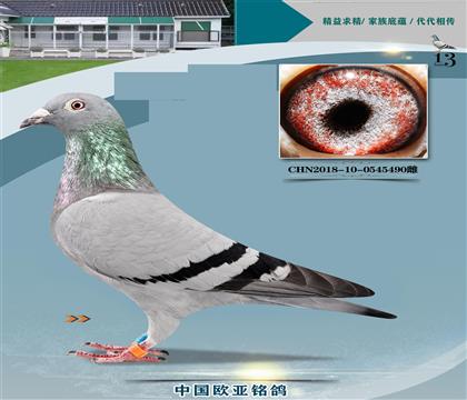 wȷ¼{ԭ437x(j)NơFҡֱŮ
