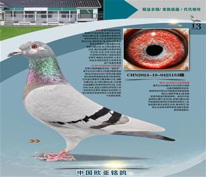 XRu݆̖(ho)xױǜķǹ̖(ho)H