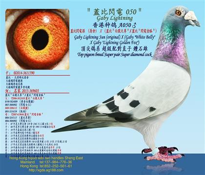 Ϲ/wW늌OԭᣩX׸XwȣW늽