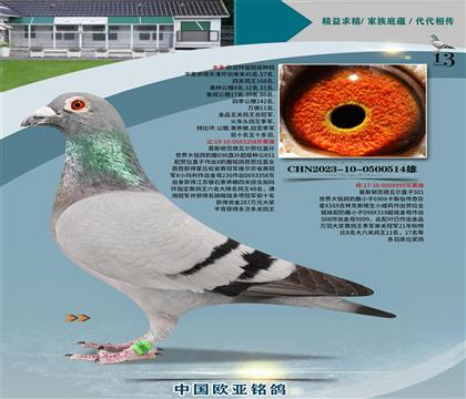 ˹DߠֱO358xߠֱ501
