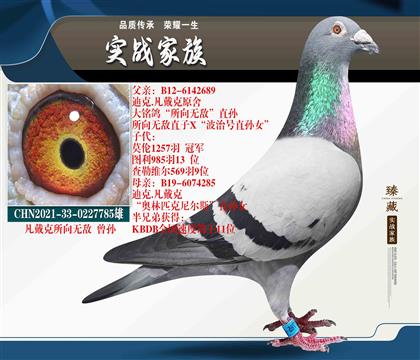 Ѫo(jng)ò˥