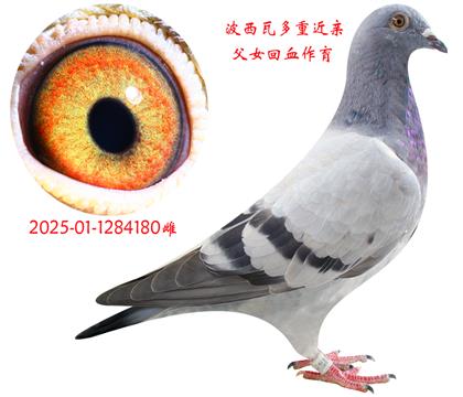߸ŮѪ