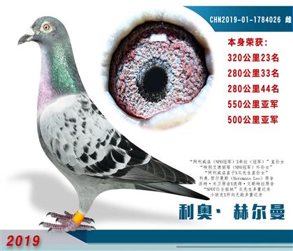 利奧-赫爾曼 本身550公里亞軍