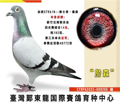 臺灣鄭東龍國際育種中心 本身單關(guān)亞軍