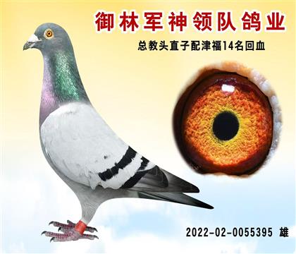 御林軍神領(lǐng)隊 “總教頭直子配津福14名回血
