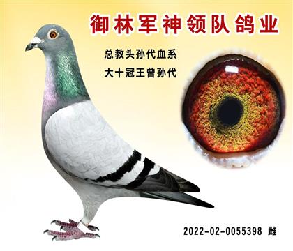 御林軍神領(lǐng)隊”總教頭孫代血系“
