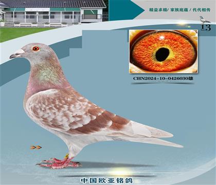 ղɭԭṫ̖(ho)x130ֱӳ(j)ĸ222