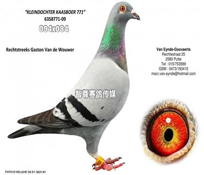 피ĸ771