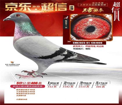 京東超信賽鴿公棚517公里決賽406名- 雌
