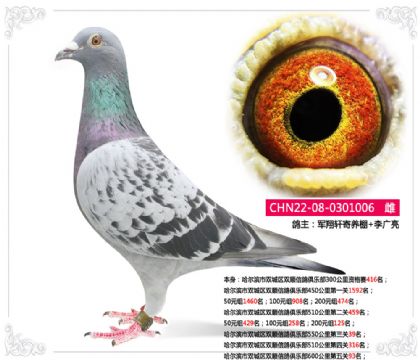 李廣亮--哈爾濱市雙城區(qū)雙順俱樂部600公里第五關93名