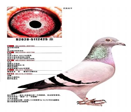 撿漏5