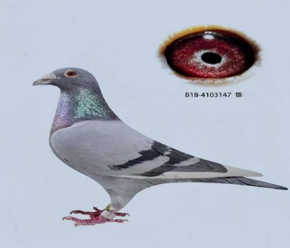 撿漏2