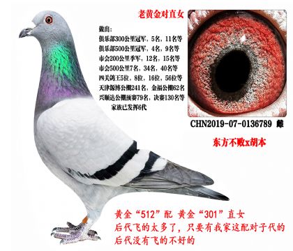 SֱŮ|x