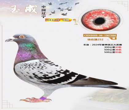 쑪(yng)ݣ25224괺ɿ