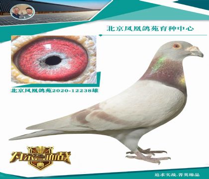 (gu)Ħ˹XԪѪ̷N