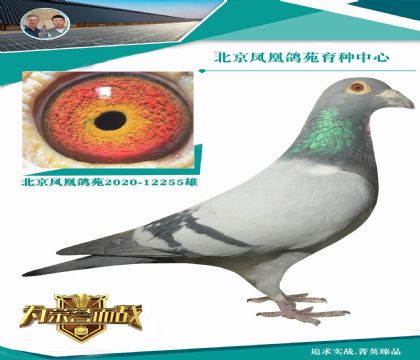 (gu)_X(gu)ٶȻʺ