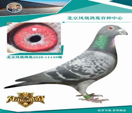 ǲ˻ؠֱX(ju)ղ˹802HֱŮ