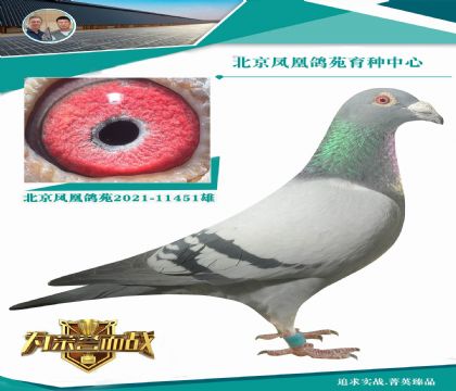 @(g)䌦(du)䌦(du)  xǳ