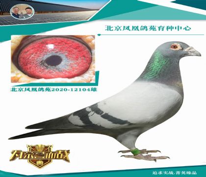 ǲ992X038  ֱX(ju)Wƥ006ȫá