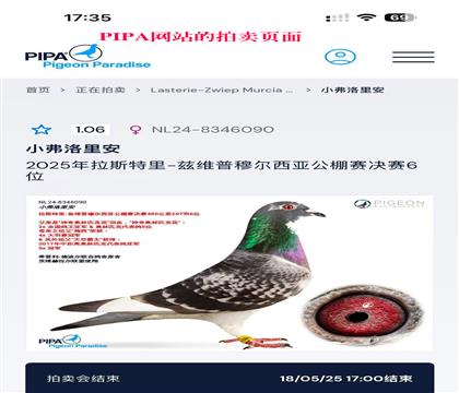 PIPAW(wng)վu