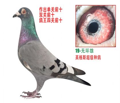 Ӣ˹