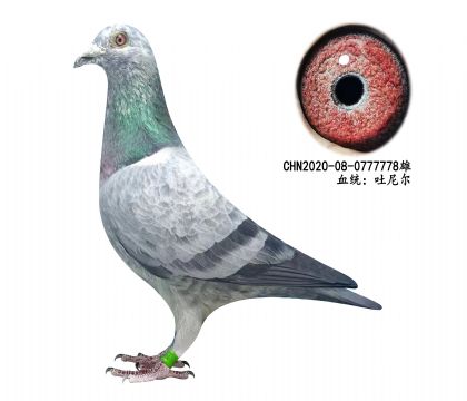 ᠖M(jn)N