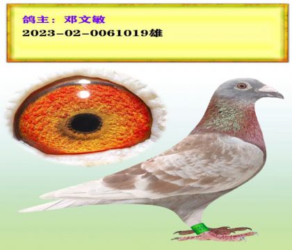 tɫx|˹