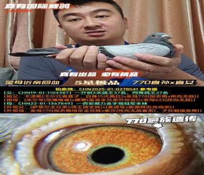 ĸ770HѪ770ֱOxֱŮ