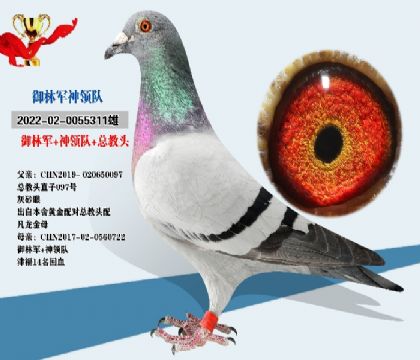 御林軍神領(lǐng)隊(duì)