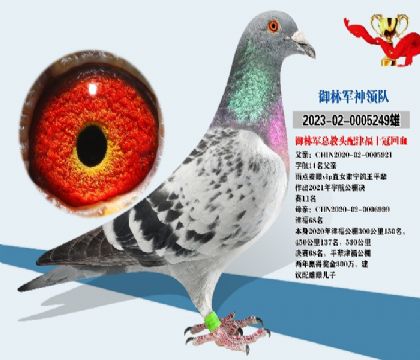 御林軍總教頭配對(duì)津福十冠回血