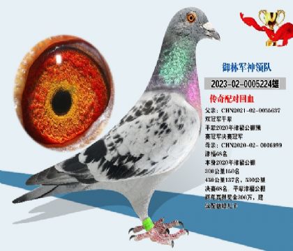 傳奇配對(duì)回血