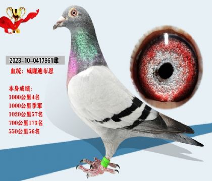 血統(tǒng) 威廉迪布恩
