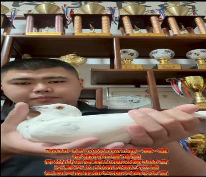LI(y)һN1491ֱOXۜ\ֱŮ