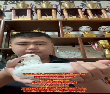 LI(y)һN1491ֱOXۜ\ֱŮ