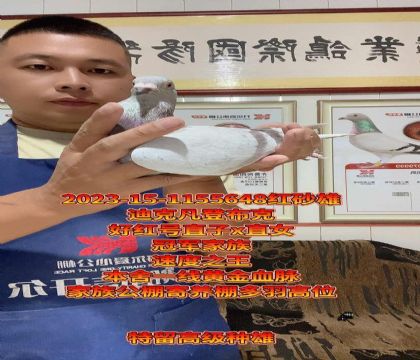 ǲ˺üt̖(ho)ֱxֱŮѪ߼(j)N