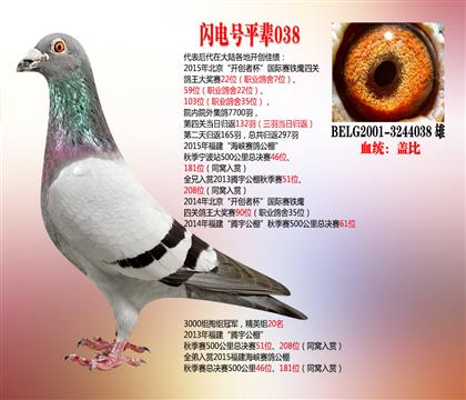 һ䌦W3244038