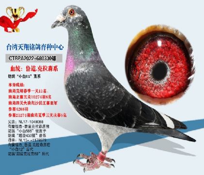 未命名