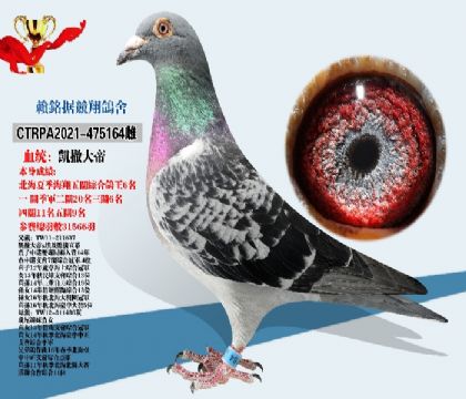 未命名