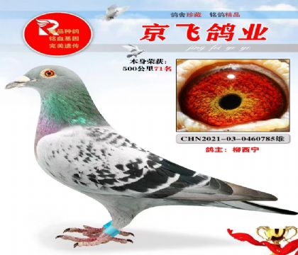 50071