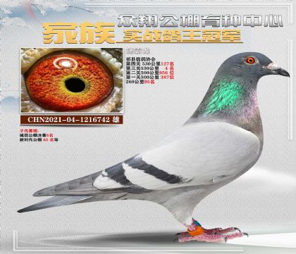 速霸龍742