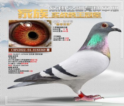 墨菲定律369多關(guān)賽季軍