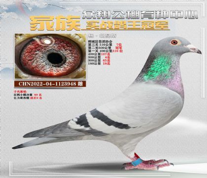 楊胡曼斯948